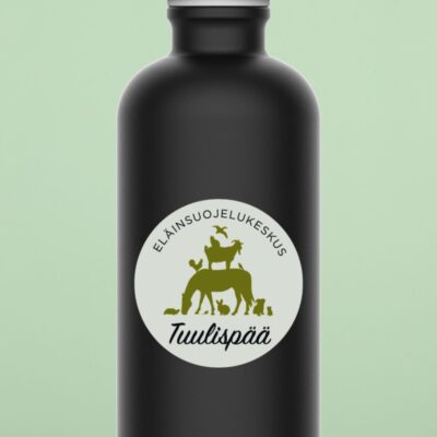 Juomapullo Tuulispää 0,6 L