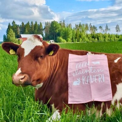 Keittiöpyyhe Olen eläinten kaveri
