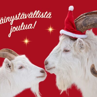 Tuulispään joulukortit