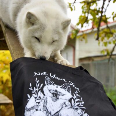 Kangaskassi Not your fur