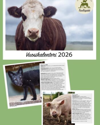 Tuulispään seinäkalenteri 2026