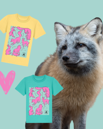 Tuulispää lasten t-paita