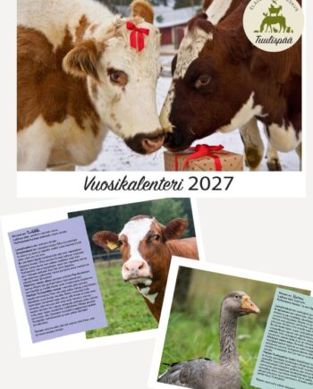 Tulossa: Tuulispään seinäkalenteri 2027